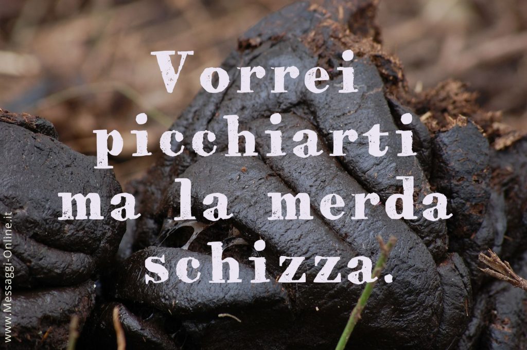 Vorrei picchiarti, ma la merda schizza.