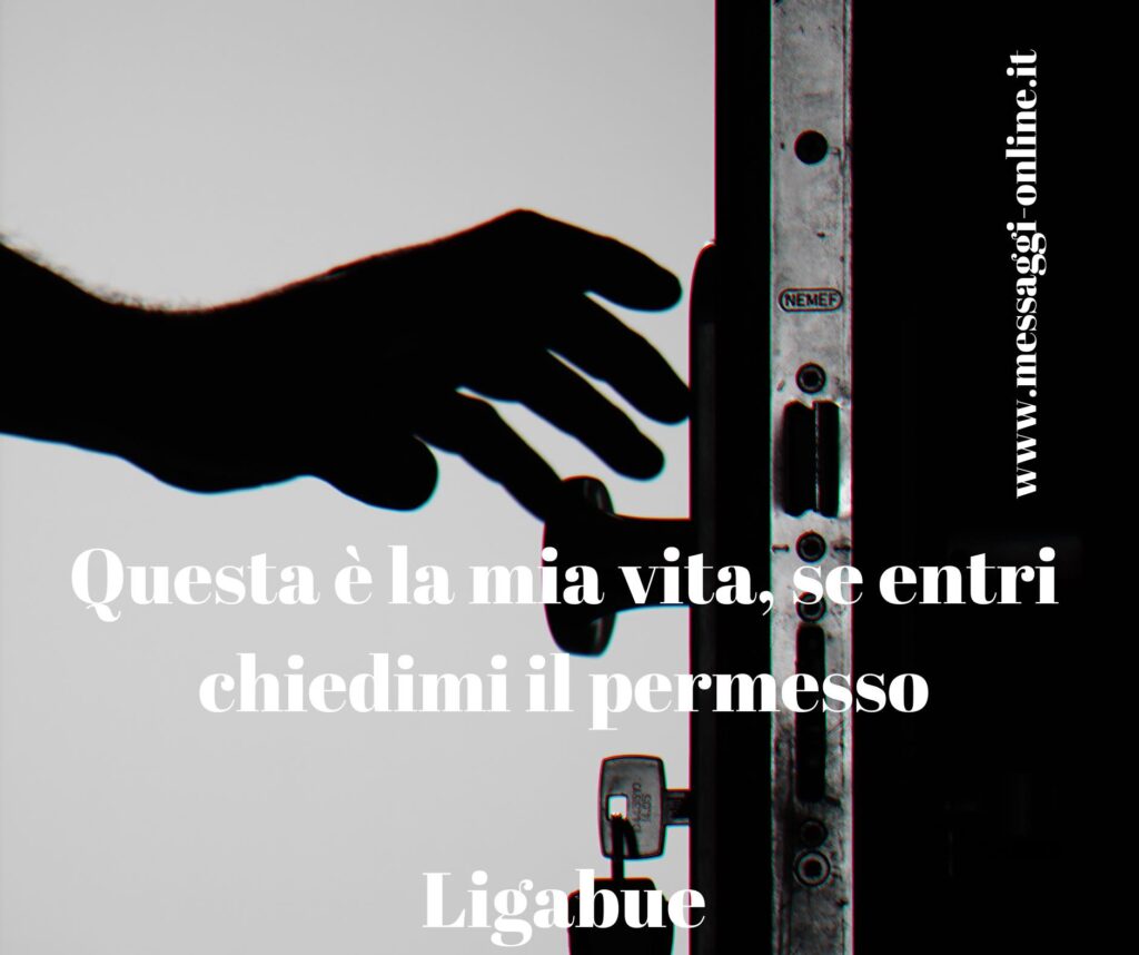 Luciano Ligabue: "Questa è la mia vita, se entri chiedimi il permesso."
