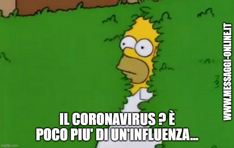 Anche voi vi state chiedendo che fine hanno fatto quelli che... "Il Coronavirus è poco più di un'influenza" ? Ecco, con il noto meme di Homer Simpson che sparisce dentro la siepe. Meme amaro, purtroppo....