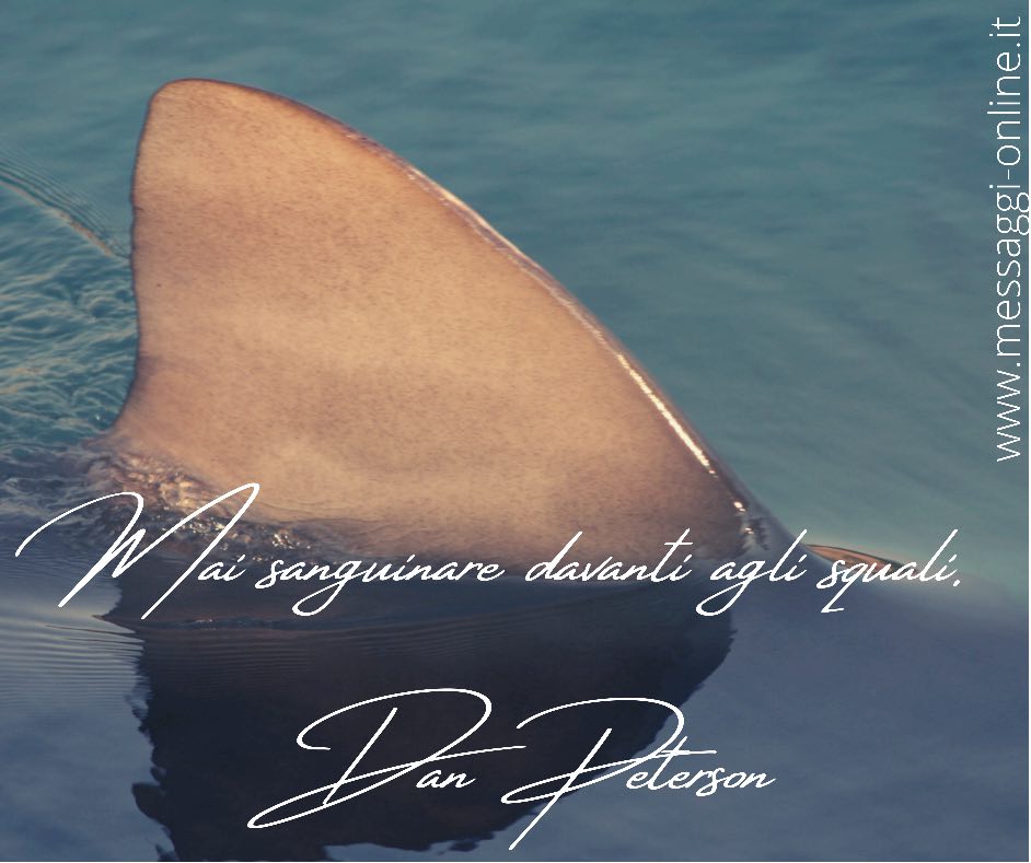 Mai sanguinare davanti agli squali. Dan Peterson